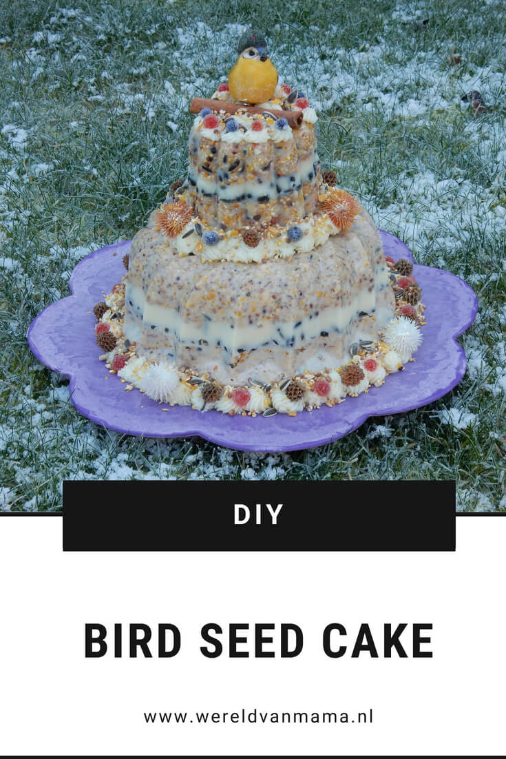 Bird Seed Cake